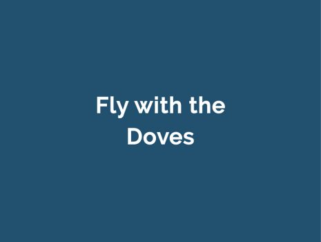 Fly-with-the-doves-donation